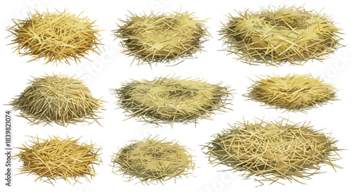 Hay bales collection with transparent background
