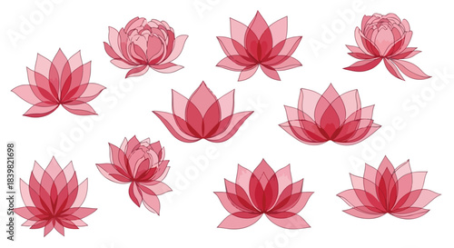 Pink lotus flowers collection with transparent background