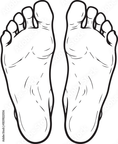 Illustration of Bare Feet Pair on Transparent Background