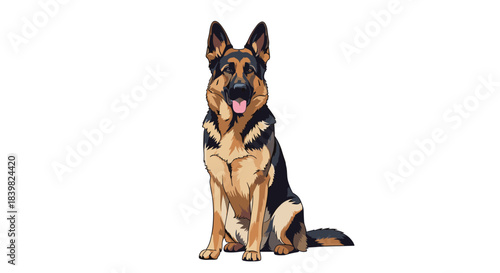 A beautiful German Shepherd dog portrait featuring a loyal companion sitting calmly and looking directly forward on a white background.