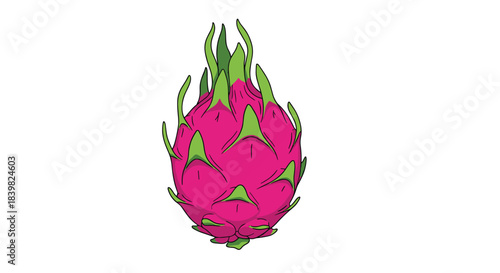 A bright and stylized illustration of a whole, fresh dragon fruit, showcasing its vibrant fuchsia skin and green leafy scales, isolated on a white background.