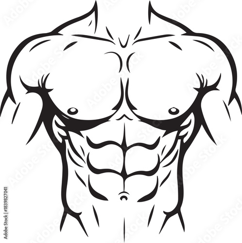 Muscular male torso illustration with defined abs and chest