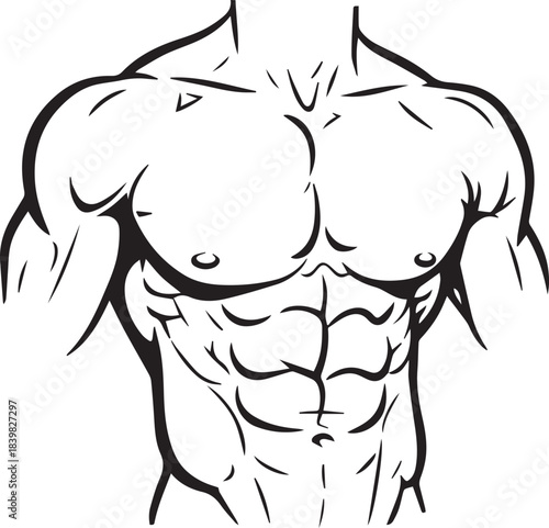 Illustration of a muscular male torso with defined abs