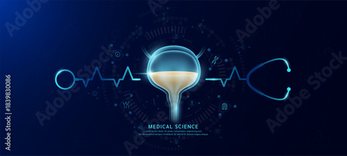 Bladder organ hologram in transparent with stethoscope. Genetic icons are around. Medical science banner dark blue. Health care concept. Vector EPS10.