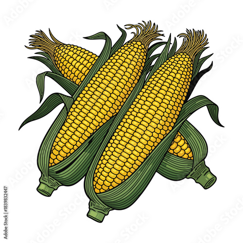 Vibrant illustration of four fresh corn cobs, symbolizing autumn harvest and holiday abundance
