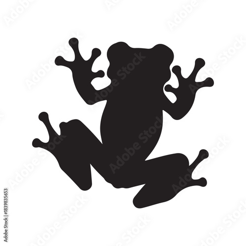  Midnight Leap: A Shadowy Frog Emerges from Quiet Night, Defying Silence with Silhouetted Grace