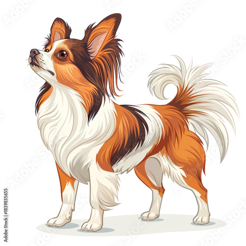 Papillon dog standing, cartoon illustration on white background