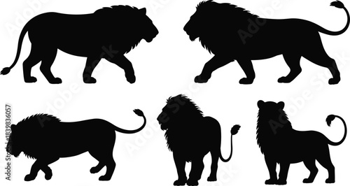 Set of Black Lion Silhouettes Showing Different Poses and Mane Styles on White Background animal