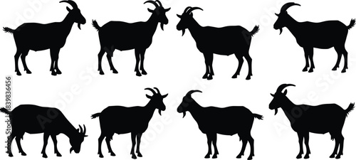 Set of black goat silhouettes isolated on white background, domestic animal vector illustration for farm design, livestock clipart bundle