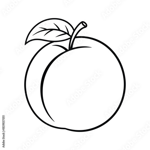 Simple Outline of a Peach or Nectarine with Leaf for Kids Coloring Book and Fruit Clip Art