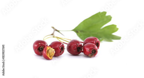 A Close-Up Hawthorn Berries with Leaf on White Background