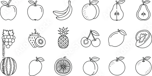 Fresh fruit collection including apple, banana, orange, pear, kiwi, mango, pineapple, lemon, cherry, cad drawing flat vector illustration
