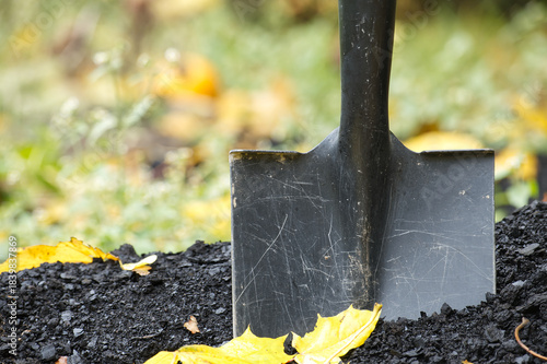 Shovel Stuck Into Fresh Soil With Autumn Leaves In Garden Bed