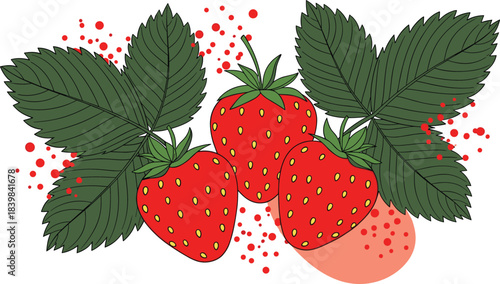 Fresh Vector Illustration of Ripe Red Strawberries with Green Leaves and Artistic Red Splatters, Perfect for Summer Fruit Themes, Food Packaging, and Healthy Snack Promotion