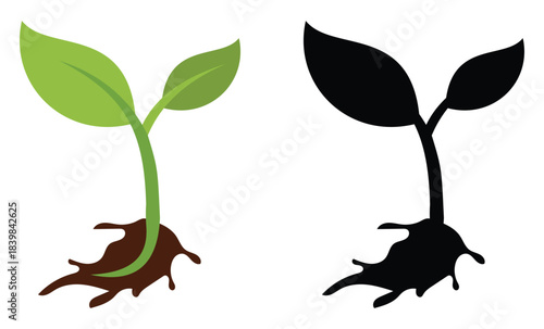 Flower and Plant Life Cycle Illustration – Growing Phases from Seed to Bloom, Editable Vector illustrtion.