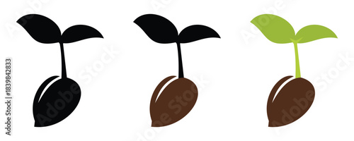 Flower and Plant Life Cycle Illustration – Growing Phases from Seed to Bloom, Editable Vector illustrtion.