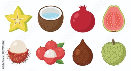 Colorful Fruit Set Vector Illustration -  apple, pear, mango, berry, blueberry, raspberry, cherry, dragonfruit