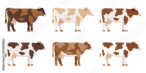 A collection of stylized brown and white cows in different poses