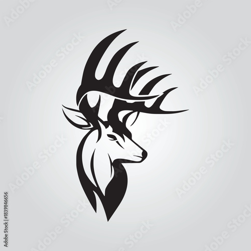 Whitetail Deer with antlers vector design silhouette