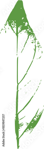 green leaf with water drops