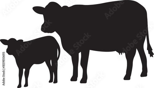Silhouette of a cow and calf
