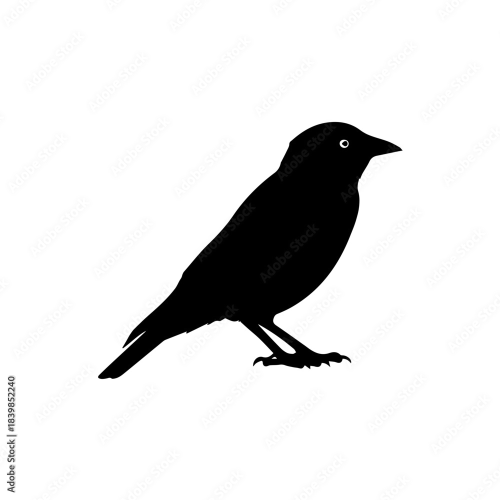 Obraz premium Silhouette of a Bird Perched on an Imaginary Branch