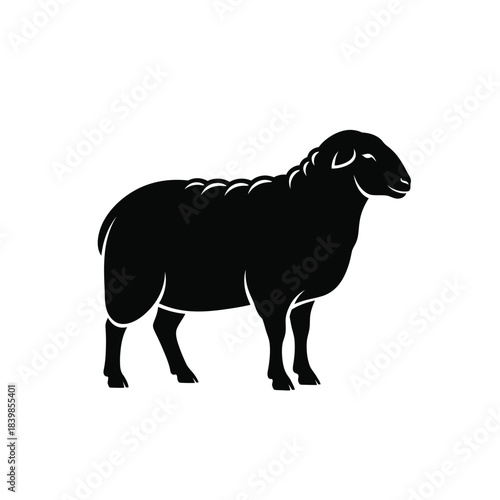 Black sheep silhouette standing profile silhouette