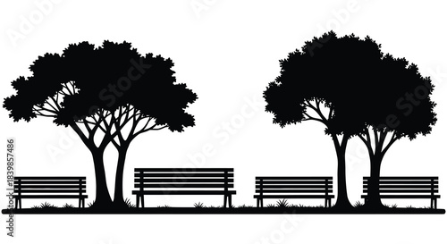 A peaceful park scene with trees and benches presented in striking black silhouette