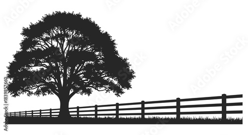 A striking black silhouette of a tree and fence against a bright white background silhouette