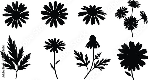 Black floral arrangements and foliage a beautiful botanical illustration on transparent background silhouette
