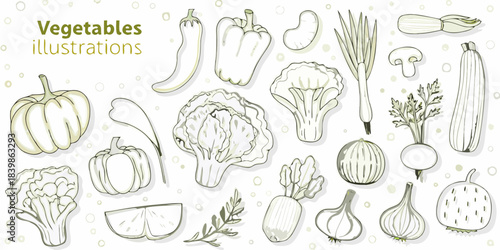 A collection of hand drawn vegetable illustrations in a light monochrome style