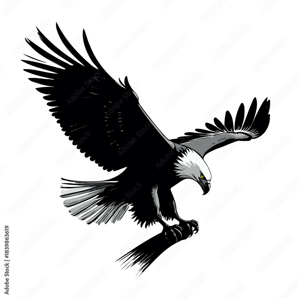 Obraz premium eagle in flight illustration