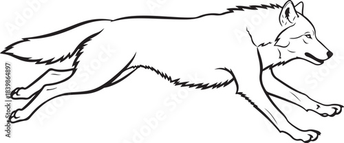 Black and white illustration of a running wolf animal