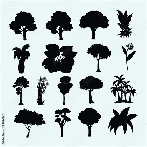 Diverse tree silhouettes, tropical, deciduous, coniferous varieties, landscape design elements, natural foliage