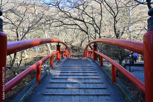 伊香保温泉「河鹿橋」、冬