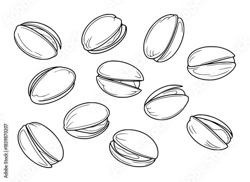 Black and White Line Art Illustration of Pistachios Scattered