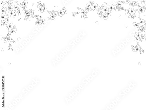 さくら線画のフレーム⑫黒_上部