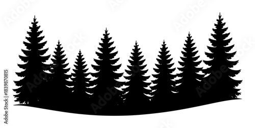 Silhouette of a dense forest of evergreen trees against a white background