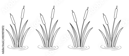 Simple Line Art of Cattails Growing in Water