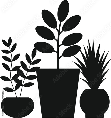 Potted House Plants Silhouette Keywords: potted plants, house plants, indoor plants, foliage