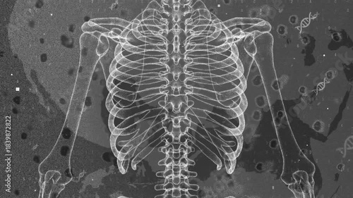 X-ray of Human Ribcage Highlighting Skeletal Structure and DNA Elements