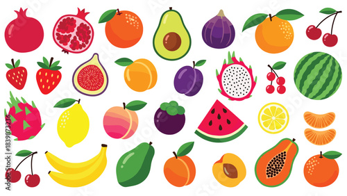 Illustration of collection of colorful tropical and common fruits illustration