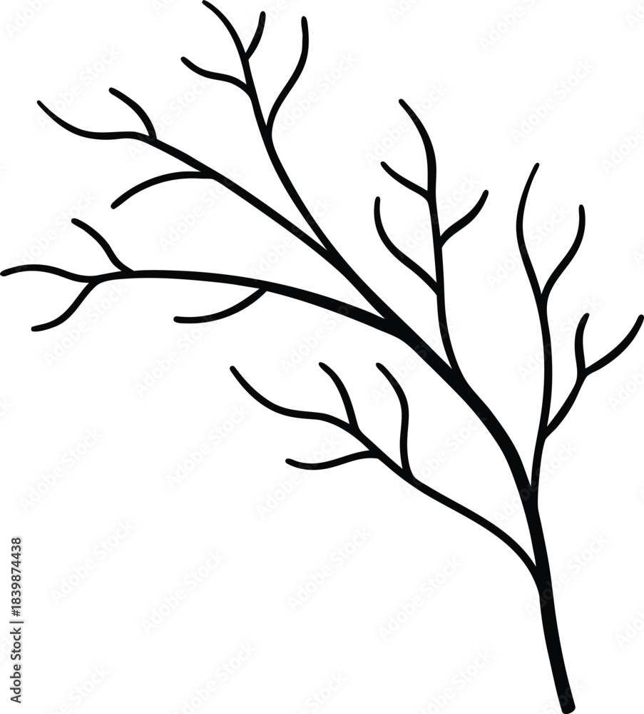 Fototapeta premium Thin black line art vector branch tree twig