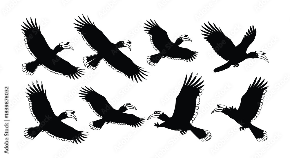Obraz premium Silhouettes of hornbills in flight showcasing their unique wing shapes and beaks