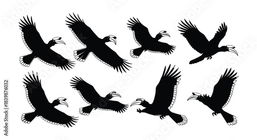 Silhouettes of hornbills in flight showcasing their unique wing shapes and beaks