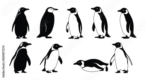Collection of monochrome penguin silhouettes in various poses and perspectives