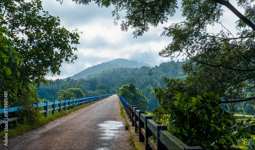 Scenic bridge in Kizhur, Ottapalam, Kerala, India, surrounded by lush greenery and misty hills, a popular filming location for South Indian movies, showcasing serene rural landscape and cinematic coun