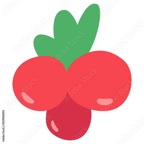 Cute Christmas Holly Berries Flat Illustration