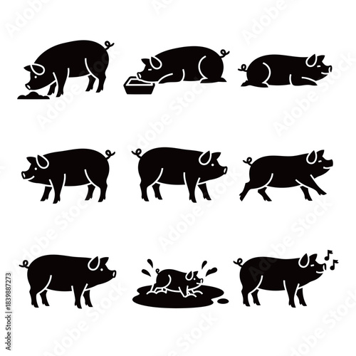 Pig Farm Animal Icons Set Feeding Resting and Mud Wallowing