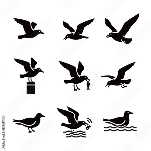 Seagull Bird Icons Set Flying Catching Fish and Resting on Water